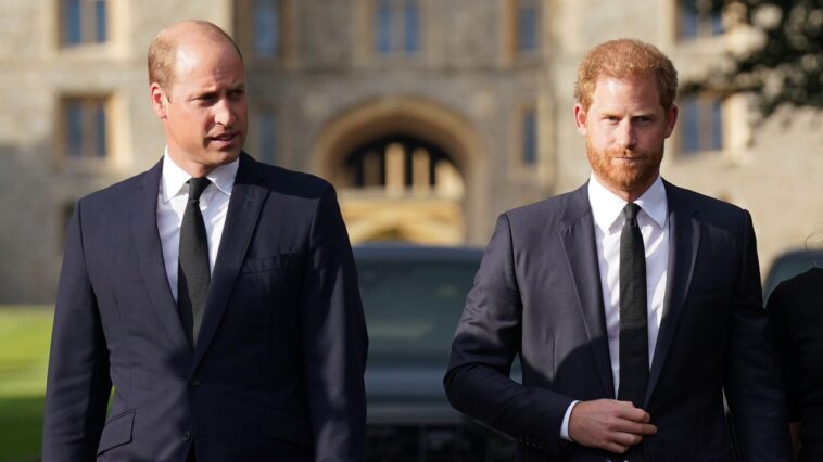 La relation du prince Harry et du prince William est à un «plus bas de tous les temps», dit Source