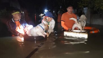 400 000 évacués, 3 morts comme frappeurs de tempête fraîches Philippines