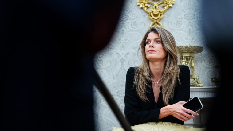 «À risque professionnel»: la charge de Comey pourrait atterrir Lindsey Halligan dans l'eau chaude