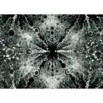 `` ATOMES, JA, ATOMES ': Physique Pioneer Key to Microscopy' Révolution en résolution ''