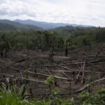 Alors que les «rivières volantes» d'Amazon s'affaiblissent avec la perte d'arbres, les scientifiques mettent en garde contre les sécheresses d'aggravation