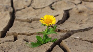 Avec 2035 cibles d'émissions fixées, ce que l'Australie fait ensuite aidera à façonner les efforts mondiaux pour maintenir 1,5 ° C en vie