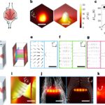 Barrières thermiques légères Contrôlez le fluide de fluide en trois dimensions