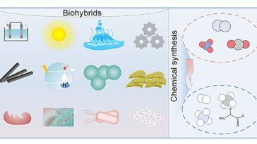 Biohybrides: synthèse chimique durable pionnière à la frontière énergétique d'environnement