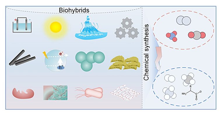 Biohybrides: synthèse chimique durable pionnière à la frontière énergétique d'environnement