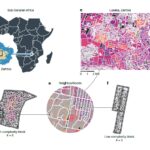 Cartographie un sous-continent entier pour le développement durable