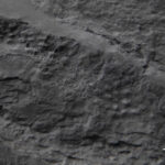 Les bosses parsèment la surface d'un rocher gris que les chercheurs disent montrent les pores de l'un des premiers animaux de la Terre, une créature de Spongelike.