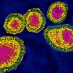 Certains virus aiment tricher - et cela peut être bon pour notre santé