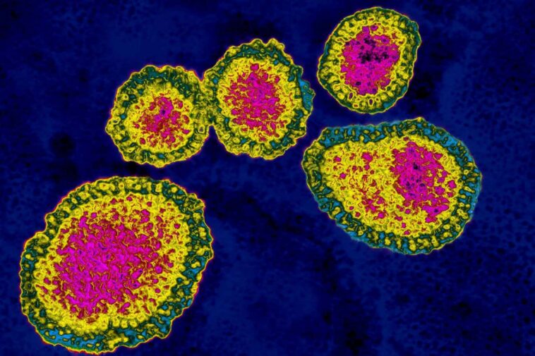 Certains virus aiment tricher - et cela peut être bon pour notre santé