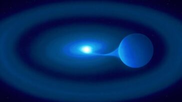 Cette star consomme son compagnon et pourrait exploser avec brio