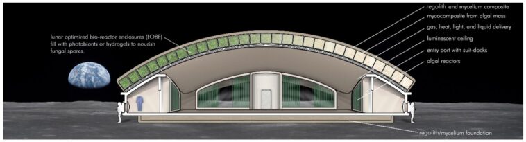 Comment construisez-vous quelque chose sur Mars? Comment construisez-vous quelque chose sur Mars?