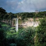 Comment les arbres Amazon utilisent les précipitations récentes pendant la saison sèche et soutiennent la production de leur propre pluie