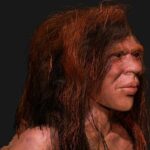 Illustration of a teenage girl who is the offspring of a Neanderthal (Homo neanderthalensis) mother and Denisovan (Homo sapiens denisova) father. A bone fragment with this hybrid ancestry was found in the Denisova Cave in Russia. The bone belonged to a female who was at least 13 years old and died around 90,000 years ago. It was known from genetic analysis of other fossils that the two species had interbred, but this is the first first-generation offspring of such a pairing to be found.