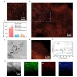 Création d'un catalyseur d'atomes unique en tungstène à haute densité de haut niveau