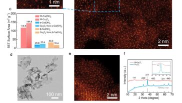 Création d'un catalyseur d'atomes unique en tungstène à haute densité de haut niveau