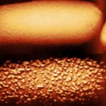 The top image shows an untreated bacterium; the bottom shows a bacterium after 90 minutes of being exposed to the antibiotic