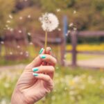 Des parties de la NZ pourraient se diriger vers un été plus humide: une bénédiction déguisée pour les personnes allergiques