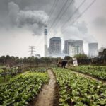 Deux climatologues sur la façon d'utiliser l'émotion dans la crise climatique