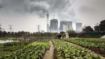 Deux climatologues sur la façon d'utiliser l'émotion dans la crise climatique