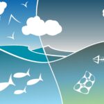 Earth System Engineering: un nouveau concept met en lumière la façon dont les organismes vivants façonnent les écosystèmes à l'échelle mondiale Earth System Engineering: un nouveau concept met en lumière la façon dont les organismes vivants façonnent les écosystèmes à l'échelle mondiale