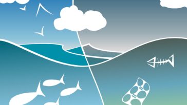 Earth System Engineering: un nouveau concept met en lumière la façon dont les organismes vivants façonnent les écosystèmes à l'échelle mondiale