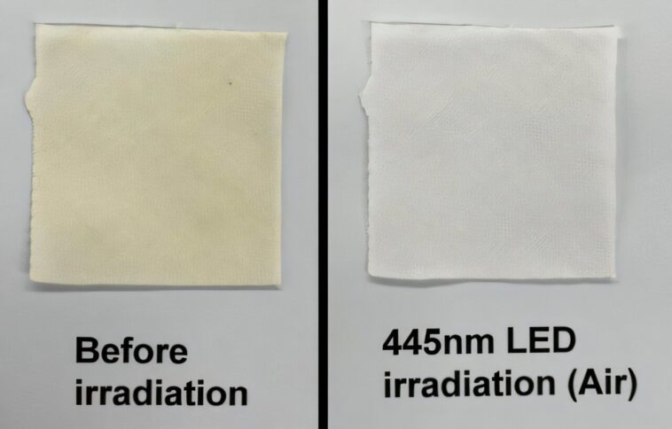 Élimination des taches jaunes du tissu avec une lumière bleue Élimination des taches jaunes du tissu avec une lumière bleue