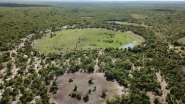 Énergie durable: les «cercles de fée» peuvent fournir des indices sur la profondeur des sources d'hydrogène naturelles