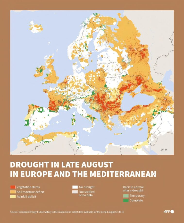 Europe, côte méditerranéenne a vu une sécheresse record en août: données de l'UE