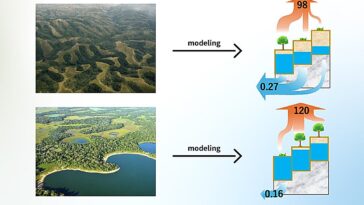 Éviter les modèles de surface terrestre statique: améliorations de la simulation de dynamique de la végétation de l'énergie de l'eau