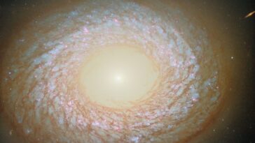 Hubble capture une galaxie déroutante avec un centre sans gaz et une bague poussiéreuse