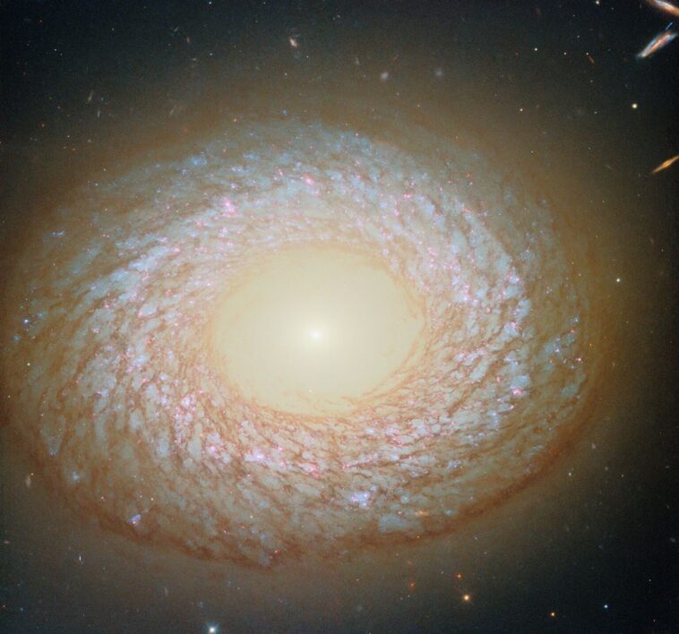 Hubble capture une galaxie déroutante avec un centre sans gaz et une bague poussiéreuse