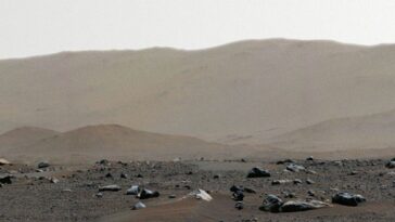 Il y a 50 ans, la NASA a envoyé deux vaisseaux spatiaux pour rechercher à vie sur Mars. Les conclusions des missions sont toujours discutées aujourd'hui