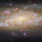 Image: Hubble Spies Galaxy avec beaucoup à voir