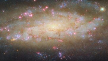 Image: Hubble Spies Galaxy avec beaucoup à voir
