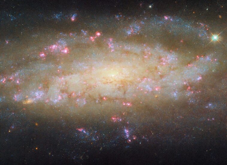 Image: Hubble Spies Galaxy avec beaucoup à voir