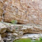 L'activité humaine étouffe les fragiles des rivières désertiques d'Oman, avertissent les scientifiques