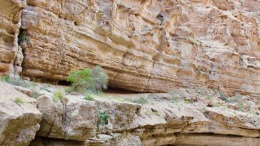 L'activité humaine étouffe les fragiles des rivières désertiques d'Oman, avertissent les scientifiques