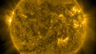 L'analyse de la NASA montre l'activité de Sun.