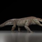 L'ancien parent de crocodile aurait pu déchirer les dinosaures