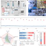 L'électrolyse à haute pression convertit durablement le CO₂ en éthylène de qualité industrielle