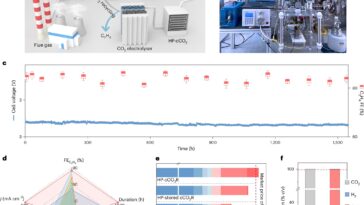 L'électrolyse à haute pression convertit durablement le CO₂ en éthylène de qualité industrielle