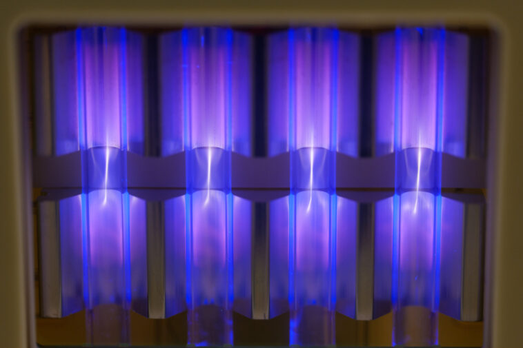 L'étude montre que la lumière UV peut désactiver les allergènes en suspension dans les 30 minutes