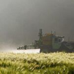 L'étude suggère que certaines politiques internationales de pesticides peuvent être influencées par une analyse de mauvaise qualité