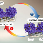 L'évolution du catalyseur révèle les héros méconnus dans la production d'ammoniac industriel
