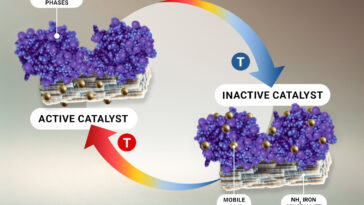 L'évolution du catalyseur révèle les héros méconnus dans la production d'ammoniac industriel