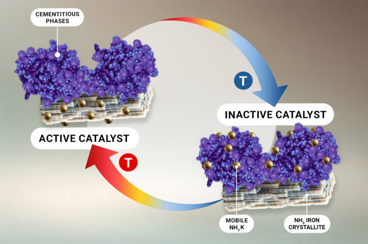 L'évolution du catalyseur révèle les héros méconnus dans la production d'ammoniac industriel