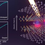 L'hybridation des excitons intercouches dans les conseils semi-conducteurs bicouches à un état de plusieurs corps