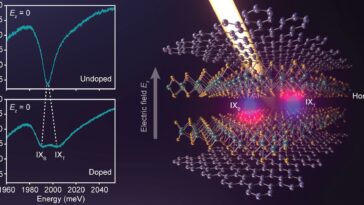 L'hybridation des excitons intercouches dans les conseils semi-conducteurs bicouches à un état de plusieurs corps