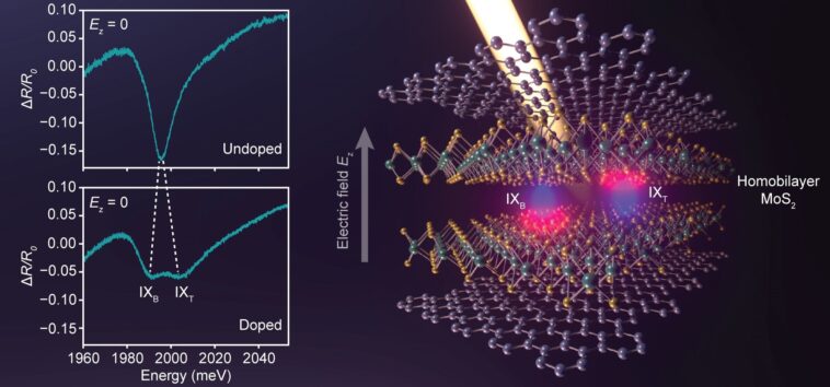L'hybridation des excitons intercouches dans les conseils semi-conducteurs bicouches à un état de plusieurs corps