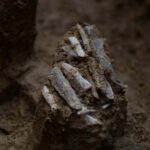 La boîte à outils vieille de 30 000 ans montre ce que l'ancien chasseur a porté dans une pochette